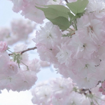 库尔勒福瑞交流群